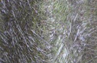 Killaney fibreglass roof work